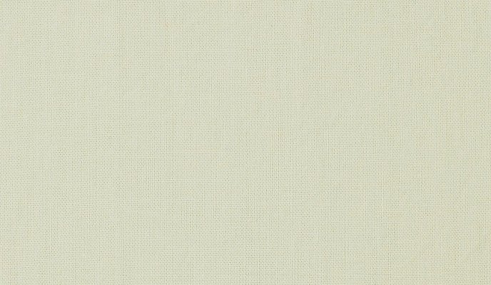 Washed Cotton Neutral