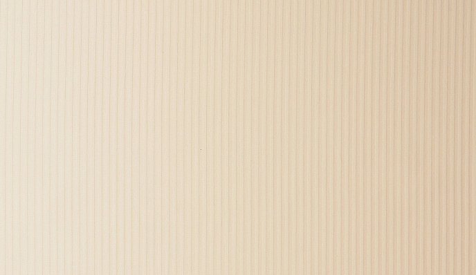 Premium Woven Cotton Sateen Stripe Vanilla 03